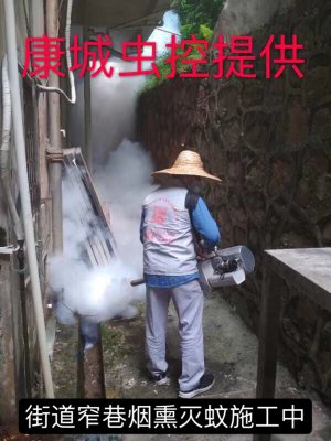 肇慶除蟲滅鼠_肇慶滅白蟻_肇慶白蟻防治_肇慶除四害_肇慶殺蟲公司